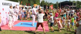 Pokaz karate na Pikniku Rodzinnym