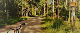 Na szlaku Green Velo - na leśnej ścieżce, przy znaku turystycznym stoi rower