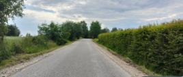 Utwardzone pobocza przy drodze Lubenia - Przylasek