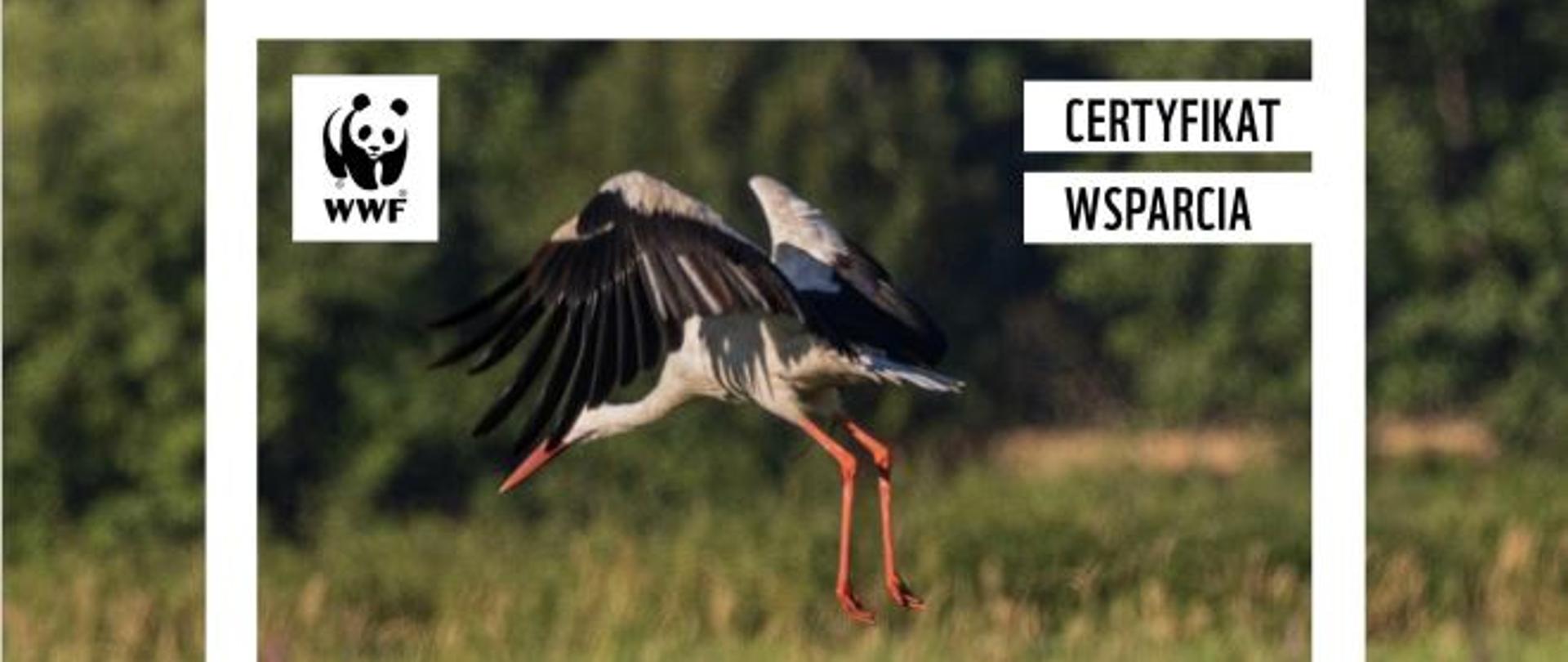 certyfikat