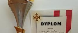 Dyplom i statuetka