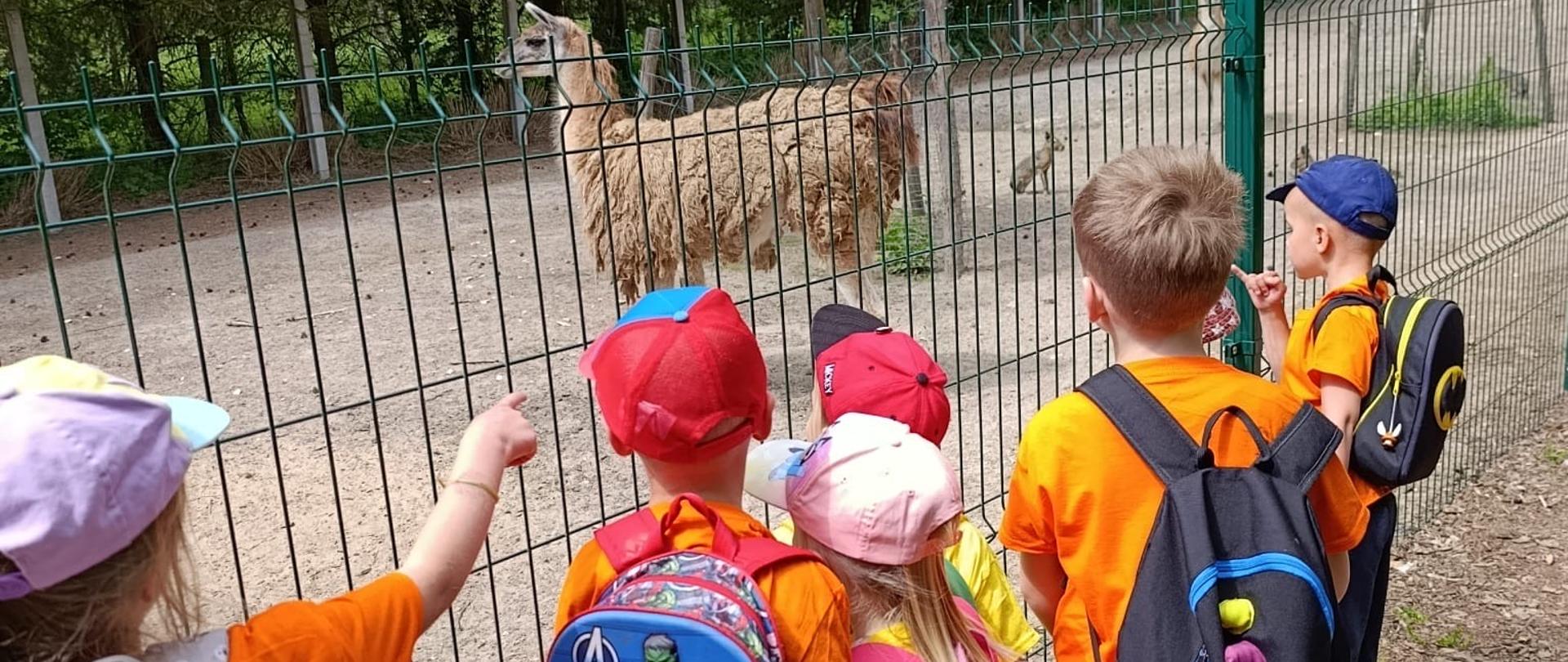 Wycieczka Przedszkolaków do Zoo