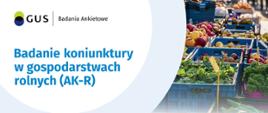 ulotka z informacjami