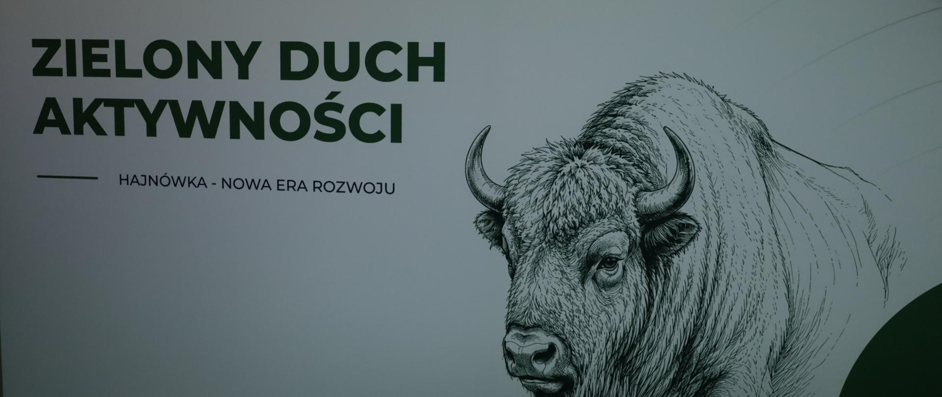 Ścianka projektu - na białym tle umieszczono grafikę żubra i napisy - Szwajcarsko - Polski Program współpracy, Zielony Duch Aktywności
