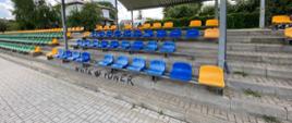 Dewastacja obiektów rekreacyjno-sportowych