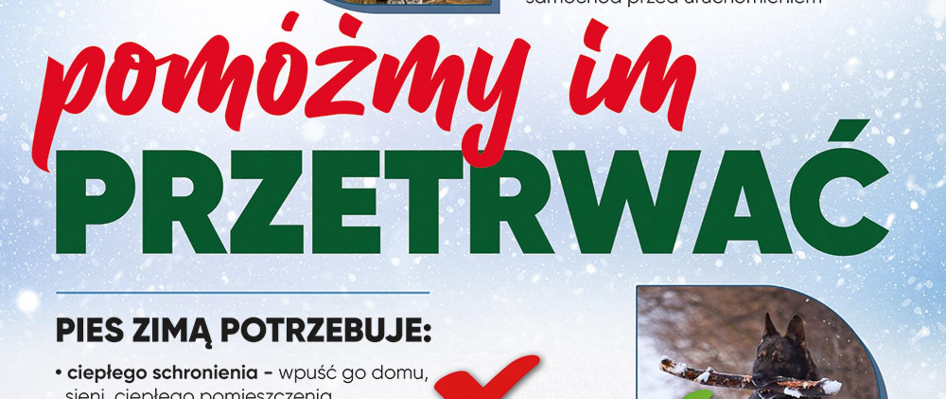 Informacja Ogólnopolskiej Fundacji na rzecz Ochrony Zwierząt
