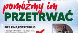 Informacja Ogólnopolskiej Fundacji na rzecz Ochrony Zwierząt