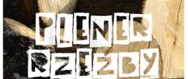 Plener rzeźby w drewnie. Na tle zdjęcia drzew tytuł wydarzenia, u góry logotypy Organizatorów, u dołu, informacja o dofinansowaniu