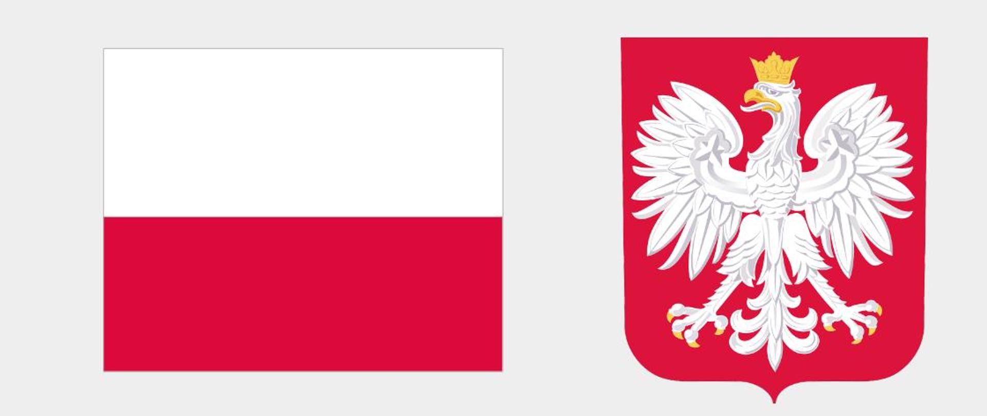 Plakat promujący program Asystent - u góry herb i flaga Polski, u dołu informacje o projekcie, zawarte w artykule