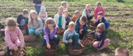 Grupa dzieci kuca na łące. Przy każdym dziecku stoi wiklinowy koszyk z ziemniakami