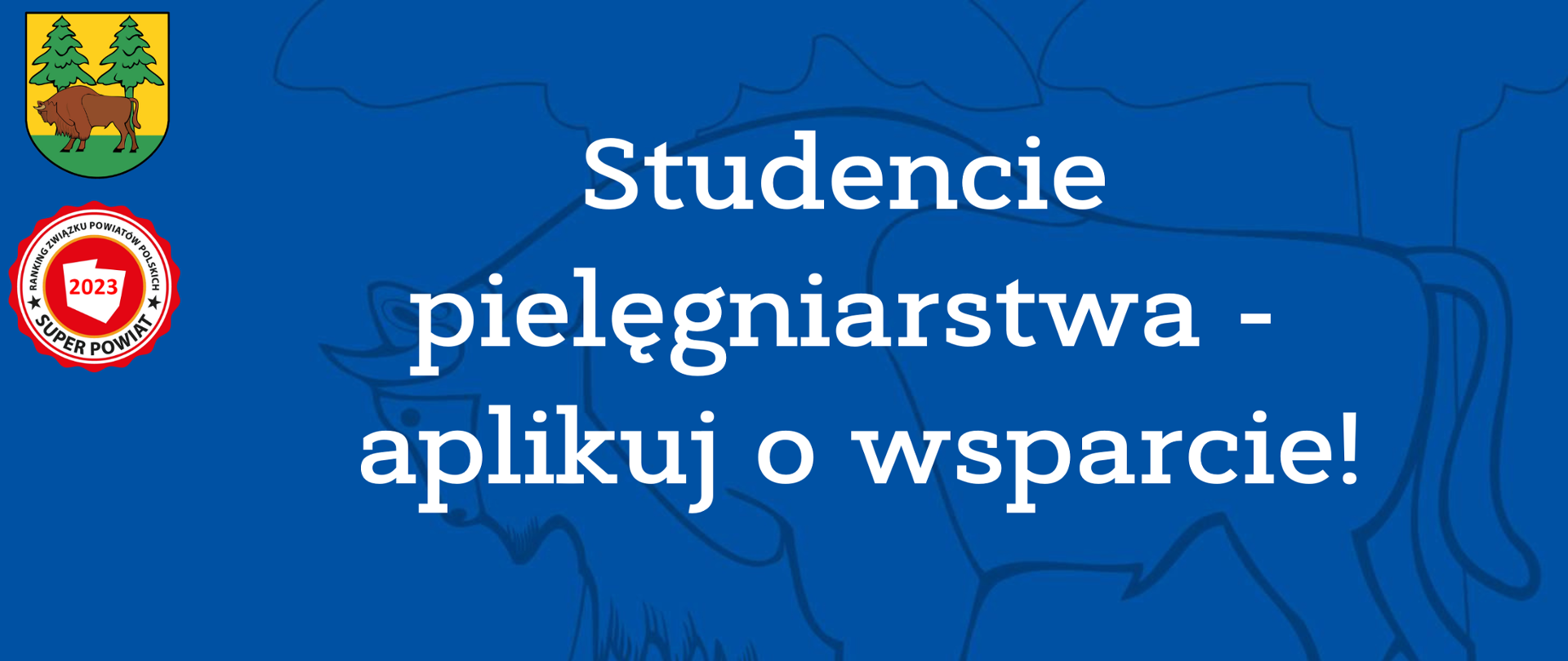 Studencie pielęgniarstwa - aplikuj o wsparcie