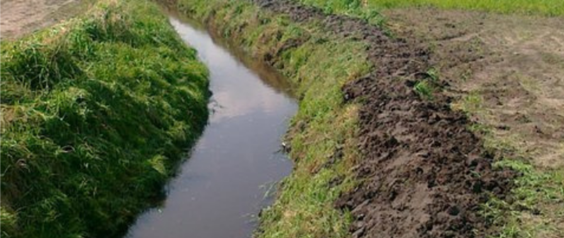 Ogłoszenie Zarządu Powiatu Zambrowskiego o naborze wniosków o udzielenie dotacji celowej z budżetu Powiatu Zambrowskiego gminnym spółkom wodnym funkcjonującym na terenie powiatu zambrowskiego