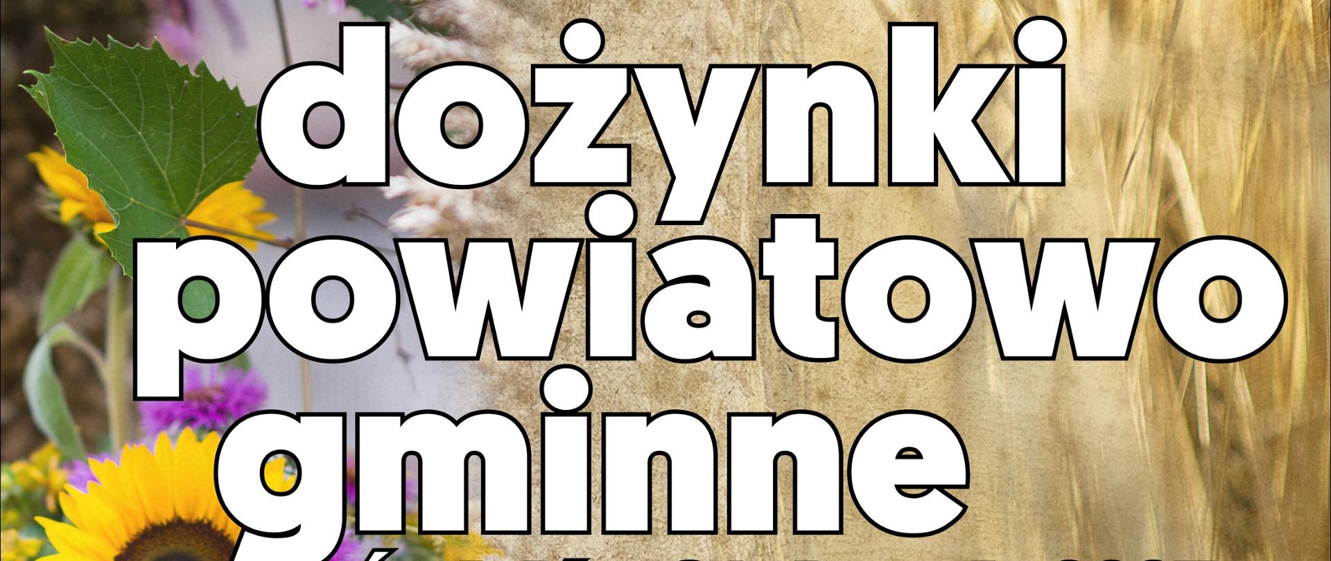 Dożynki powiatowe 2025