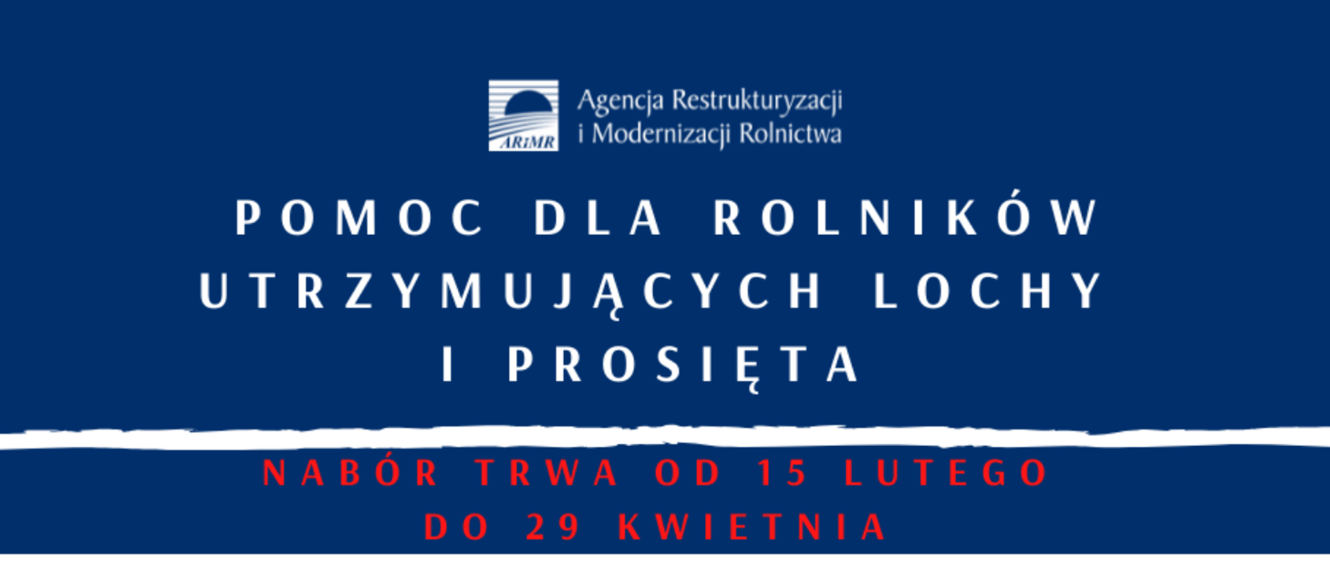 Pomoc dla utrzymujących lochy i prosięta - nabór wniosków do 29 kwietnia
