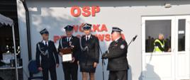 Obchody 60 - lecia powstania OSP w Wólce Proszewskiej