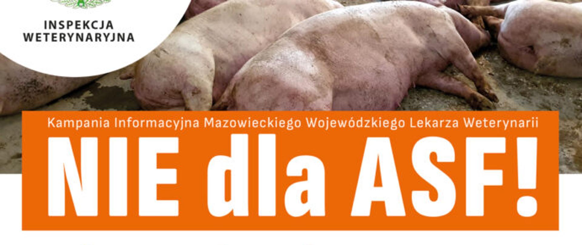 NIE dla ASF!