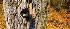 Kijki nordic walking