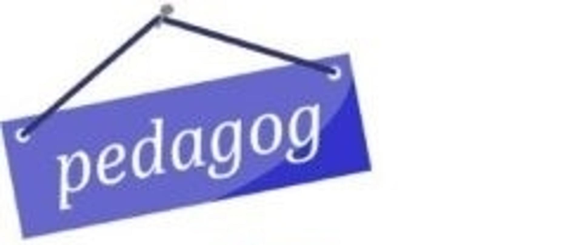 pedagog szkolny