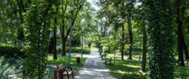 Park Bogny i Jerzego Sokorskich w Piastowie