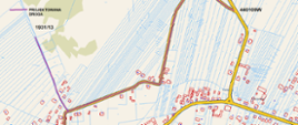 Fragment mapki orientacyjnej przedstawiający przebieg projektowanej drogi w miejscowości Trzcianka.