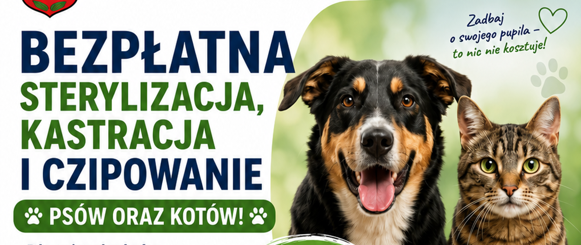Oto propozycja opisu alternatywnego dla plakatu, przygotowana zgodnie z wytycznymi WCAG (zapewniająca dostępność dla osób korzystających z czytników ekranu):
Tekst opisu:
Plakat informacyjny dotyczący bezpłatnego programu sterylizacji, kastracji i czipowania zwierząt dla mieszkańców Gminy Dłutów.
W górnej części plakatu znajdują się logotypy: po lewej herb Gminy Dłutów, a po prawej logo „Łódzkie dla zwierząt” wraz z informacją o współfinansowaniu zadania przez budżet Samorządu Województwa Łódzkiego.
Główne hasło brzmi: „Bezpłatna sterylizacja, kastracja i czipowanie psów oraz kotów dla mieszkańców Gminy Dłutów”. Poniżej znajduje się zdjęcie uśmiechniętego psa oraz kota.
Tekst podzielony jest na sekcje:
Zakres programu: Możliwość bezpłatnej sterylizacji lub kastracji suki/kotki, kastracji psa/kota, elektronicznego znakowania (czipowania) oraz rejestracji czipa w ogólnopolskiej bazie danych.
Finansowanie: Program pokrywa 100% kosztów zabiegów dla zwierząt właścicielskich.
Cel: Przeciwdziałanie bezdomności zwierząt poprzez zapobieganie niekontrolowanemu rozmnażaniu i trwałe oznakowanie.
Dlaczego warto?: Sekcja wyjaśnia korzyści ze sterylizacji (ograniczenie bezdomności, poprawa zdrowia) oraz czipowania (szybka identyfikacja właściciela, łatwiejsze odnalezienie zagubionego zwierzęcia).
Jak skorzystać?: Informacja o zapisach w Urzędzie Gminy Dłutów (numer telefonu: 44 634-05-21 wew. 127, e-mail: dlutow@dlutow.pl, strona internetowa: www.dlutow.pl). Realizacja programu przewidziana jest na rok 2026.
Na dole plakatu znajduje się istotna uwaga: liczba zabiegów jest ograniczona i realizowana do wyczerpania środków przeznaczonych na zadanie. Całość utrzymana jest w profesjonalnej szacie graficznej z użyciem kolorów zielonego, granatowego i białego.