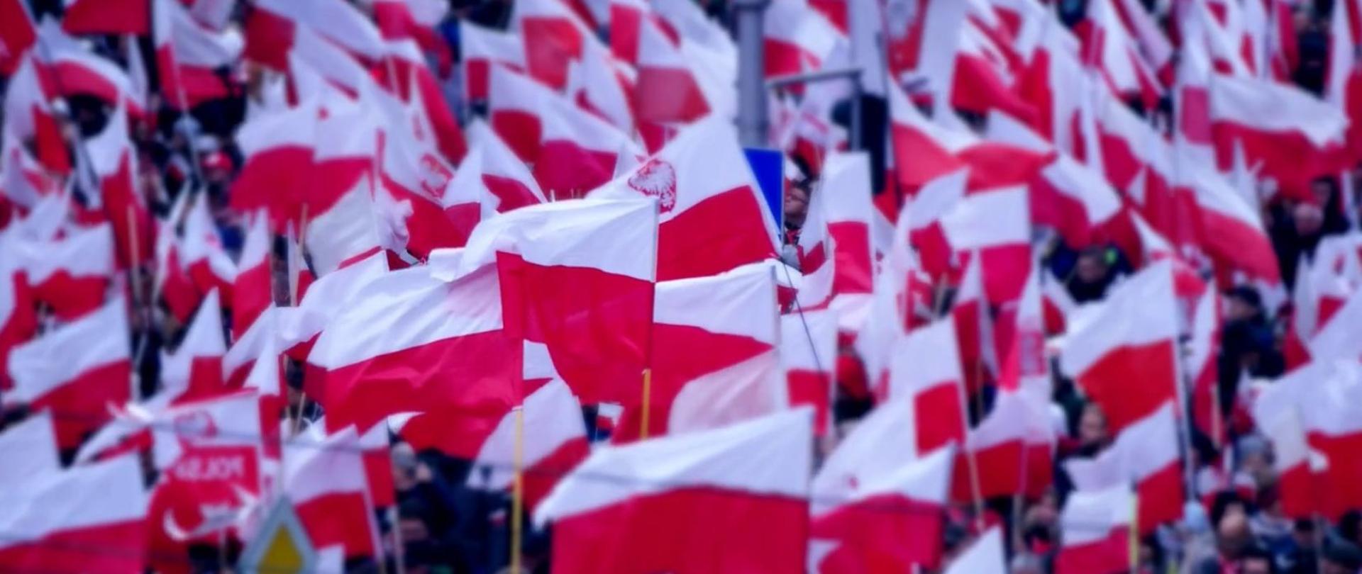 Flagi Polski.