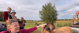 Fotosafari - uczestnicy wycieczki siedzą w aucie, oglądają zwierzęta