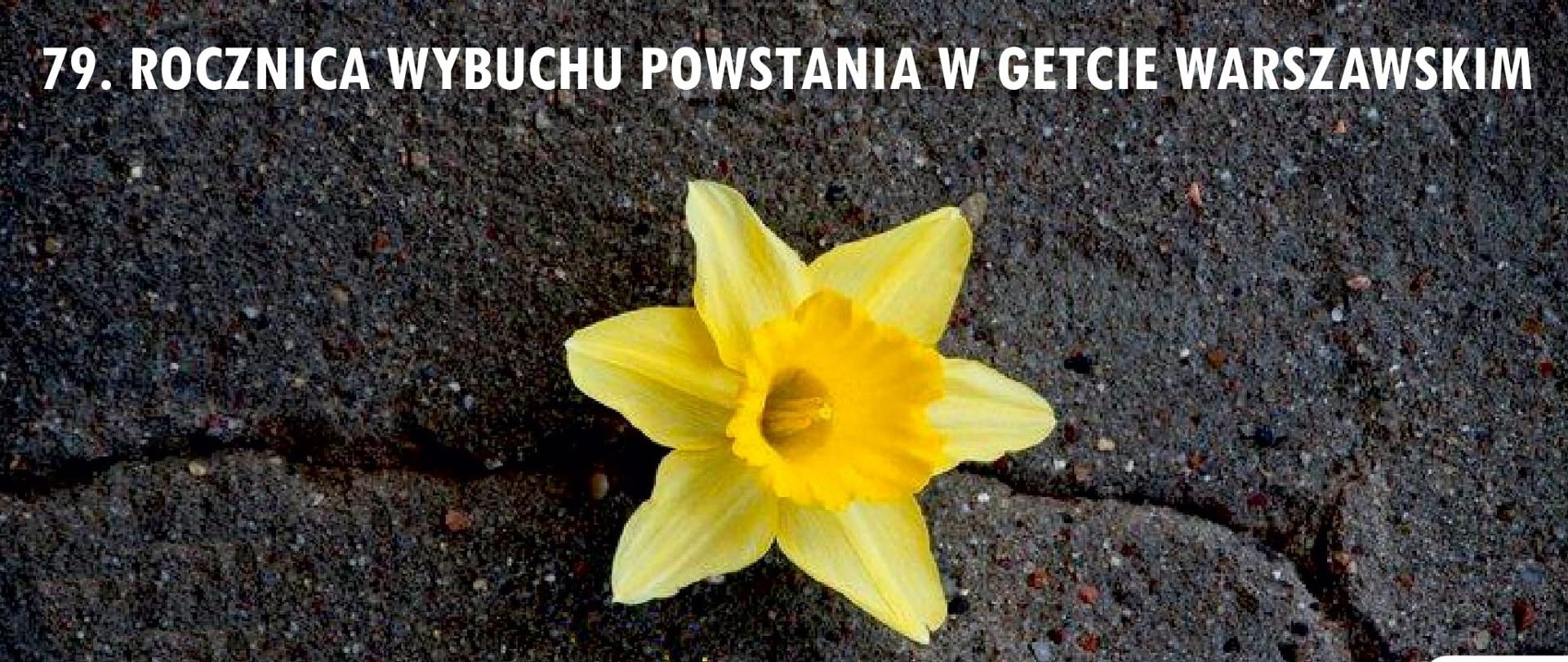79. rocznica wybuchu powstania w getcie warszawskim 