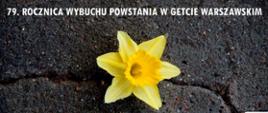 79. rocznica wybuchu powstania w getcie warszawskim 