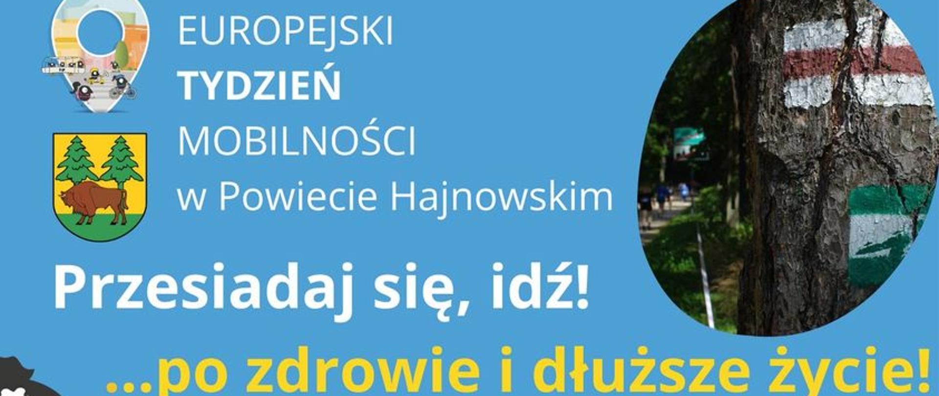 Na niebieskim tle zdjęcie szlaków, napisy: Przesiadaj się, idź! po zdrowie i dłuższe życie! 4 tys. kroków dziennie to dłuższe życie. Spaceruj "na zdrowie"! Już 30 min. ruchu wzmacnia układ odpornościowy, krążenia, oddechowy, poprawia koncentrację i pamięć. Przesiadaj się, idź: szlakami pieszymi, trasami nordic walking, trasami questowymi i gry terenowej, ścieżkami edukacyjnymi, lub po prostu "z buta" do pracy, na zakupy, gdziekolwiek chcesz! Trasy: bialowieza.travel, aplikacja "Szlaki Puszczy Białowieskiej"