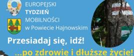 Na niebieskim tle zdjęcie szlaków, napisy: Przesiadaj się, idź! po zdrowie i dłuższe życie! 4 tys. kroków dziennie to dłuższe życie. Spaceruj "na zdrowie"! Już 30 min. ruchu wzmacnia układ odpornościowy, krążenia, oddechowy, poprawia koncentrację i pamięć. Przesiadaj się, idź: szlakami pieszymi, trasami nordic walking, trasami questowymi i gry terenowej, ścieżkami edukacyjnymi, lub po prostu "z buta" do pracy, na zakupy, gdziekolwiek chcesz! Trasy: bialowieza.travel, aplikacja "Szlaki Puszczy Białowieskiej"