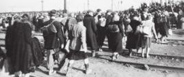 Los ludności ewakuowanej z Warszawy w sierpniu i we wrześniu 1944 do KL Stutthof