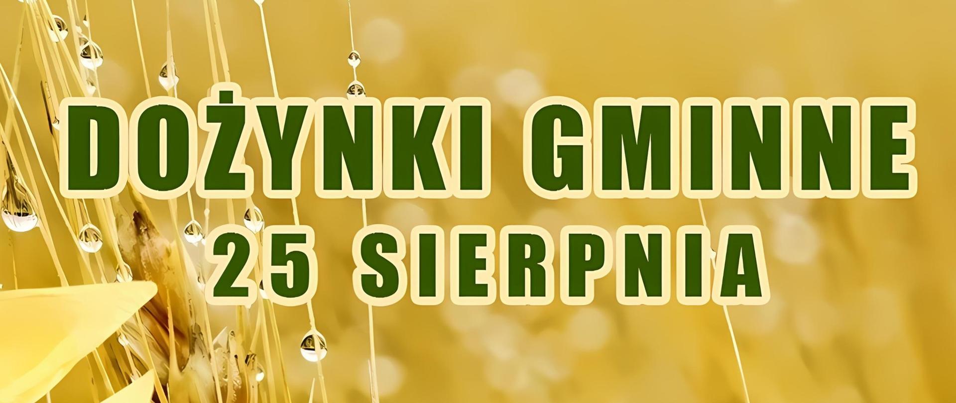 dożynki 2024
