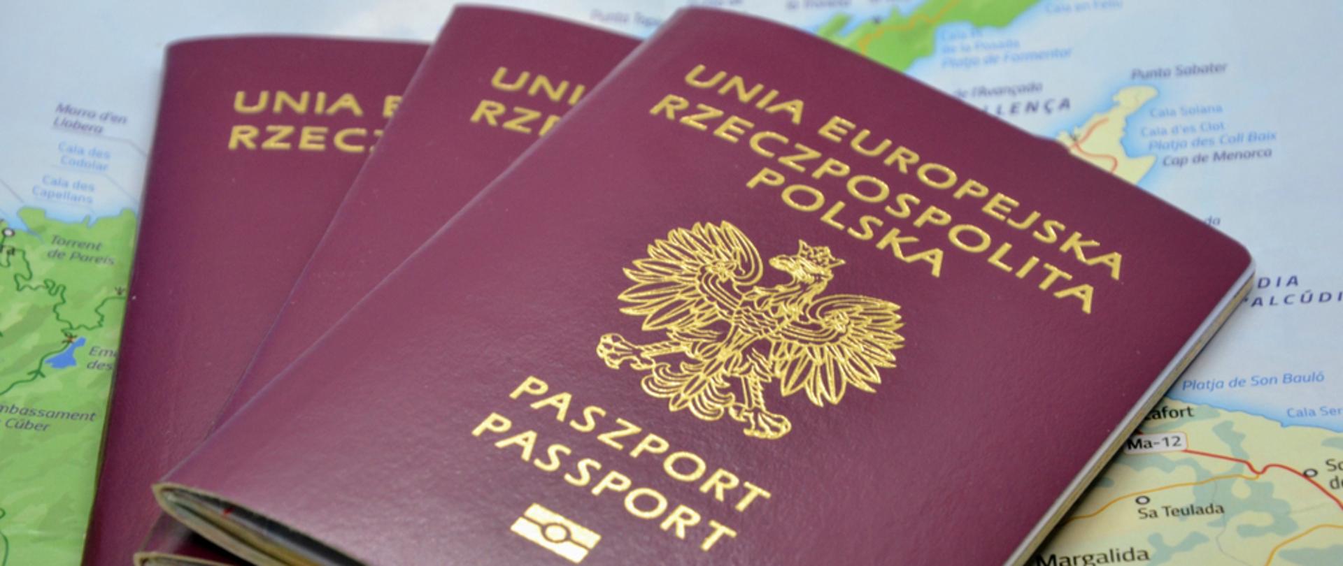 paszport obrazek