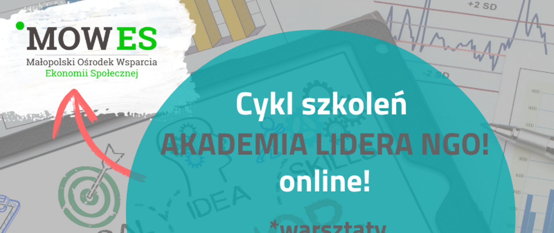 Cykl Akademia Lidera NGO – 7 praktycznych szkoleń on-line - „must know” każdego, kto ma już swoje NGO albo dopiero chce je założyć.
