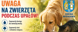 Uwaga na zwierzęta podczas upałów!