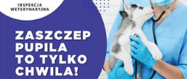 Plakat z informacjami dotyczącymi obowiązkowych szczepień ochronnych psów przeciwko wściekliźnie 