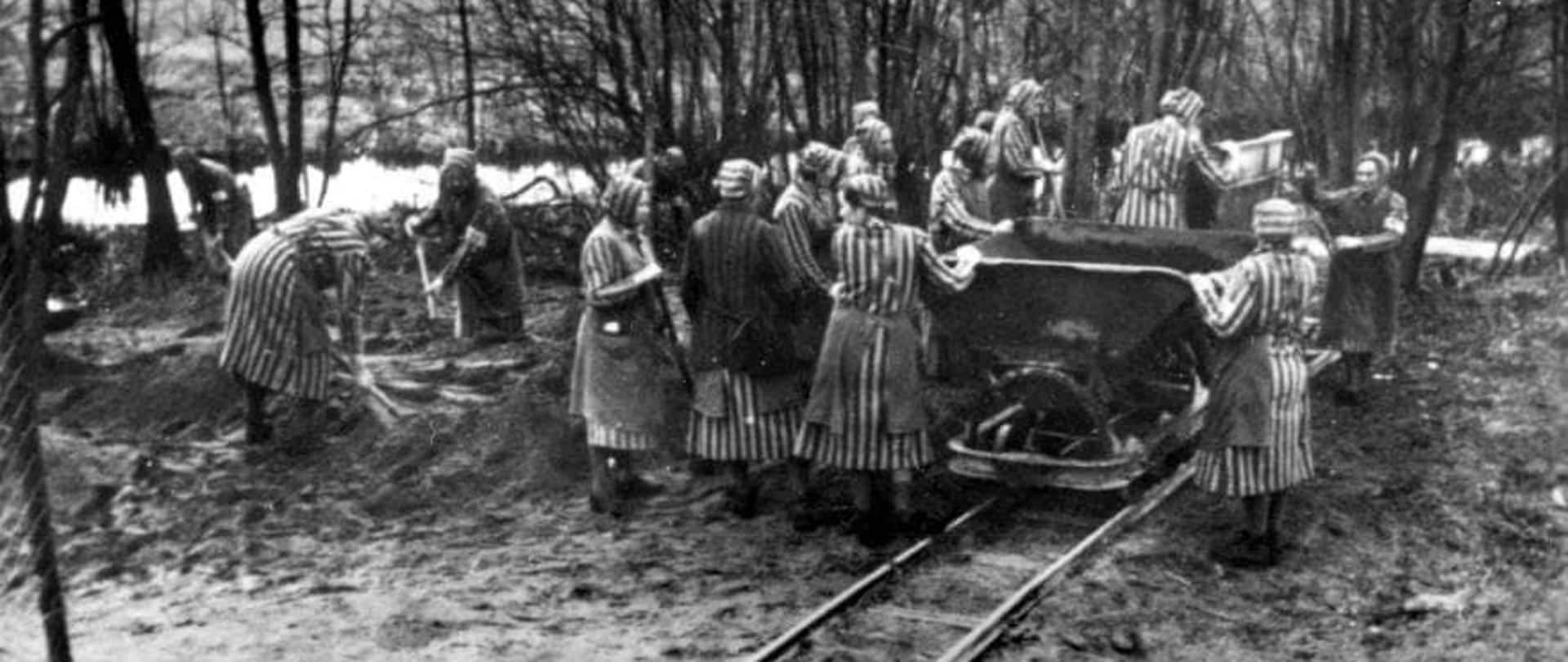 Więźniarki przy pracy – 1939
