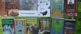 Stoisko z książkami o regionie