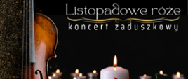 Listopadowe róże – zaduszkowy koncert w dąbrowskiej bibliotece