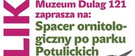 Spacer ornitologiczny Plakat