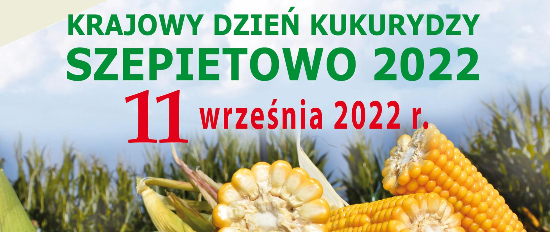 Plakat promujący imprezę Krajowy Dzień Kukurydzy Szepietowo 2022, w tle kolby kukurydzy, od góry logotypy Unii Europejskiej, Polskiego Związku Producentów Kukurydzy, Ministerstwa Rolnictwa i Rozwoju Wsi, a także Podlaskiego Ośrodka Doradztwa Rolniczego w Szepietowie, poniżej nazwa imprezy Krajowy Dzień Kukurydzy Szepietowo 2022 oraz program i logotypy sponsorów oraz informacje kontaktowe.