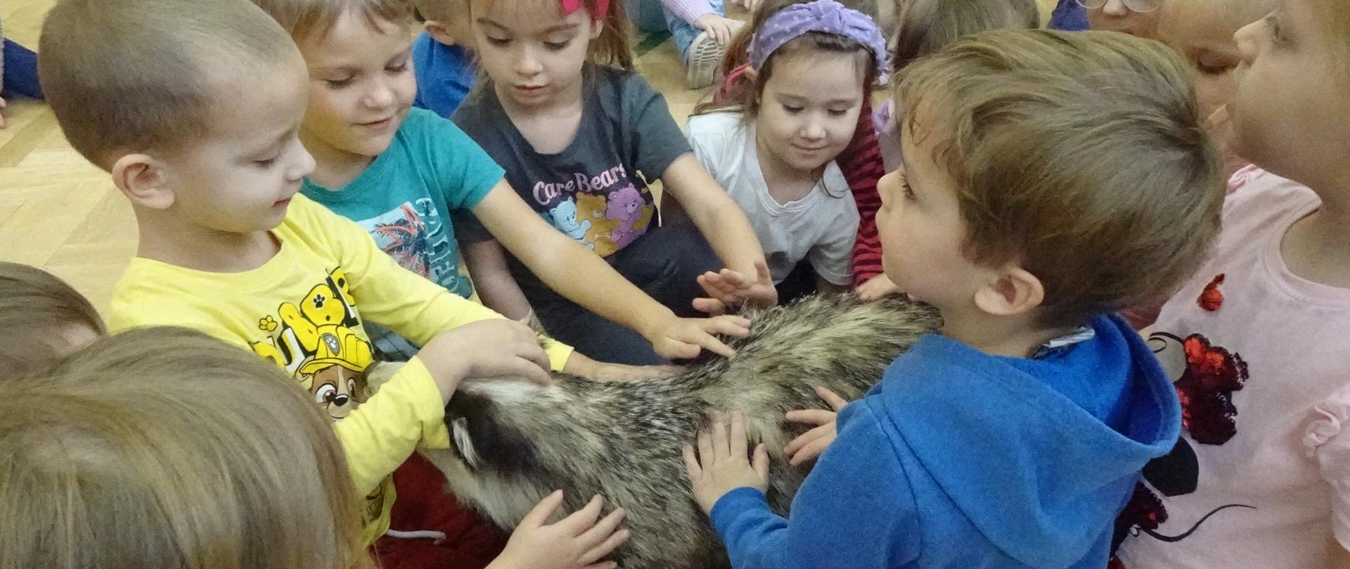 Spotkanie z edukatorem Nadleśnictwa Rajgród