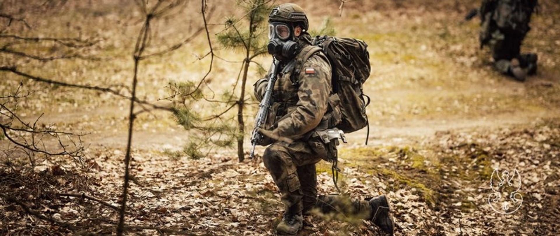 Las, dwóch żołnierzy z ekwipunkiem, jeden ma na twarzy maskę przeciwgazową. 