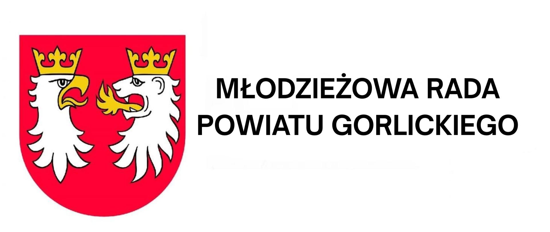 Młodzieżowa Rada Powiatu Gorlickiego