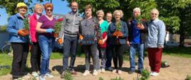 Seniorzy wraz z Burmistrzem Dąbrowy Białostockiej pozujący do zdjęcia z sadzonkami kwiatów