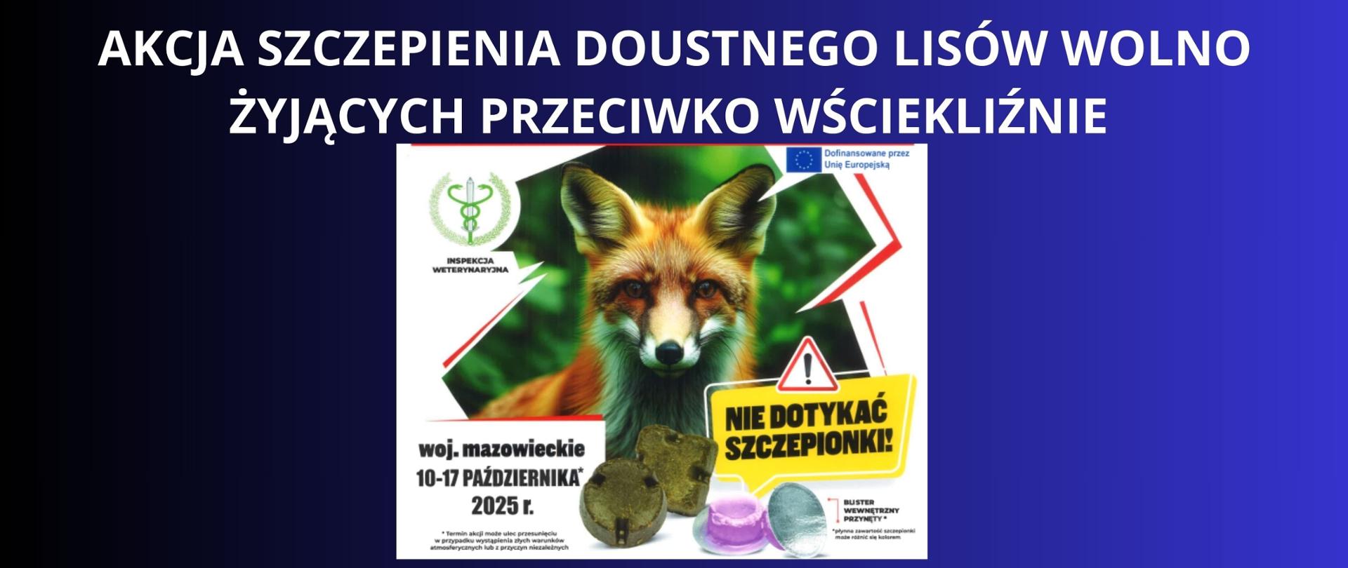 biały napis na granatowym tle AKCJA SZCZEPIENIA DOUSTNEGO LISÓW WOLNO ŻYJĄCYCH PRZECIWKO WŚCIEKLIŹNIE , plakat lisa i szczepionki na białym tle