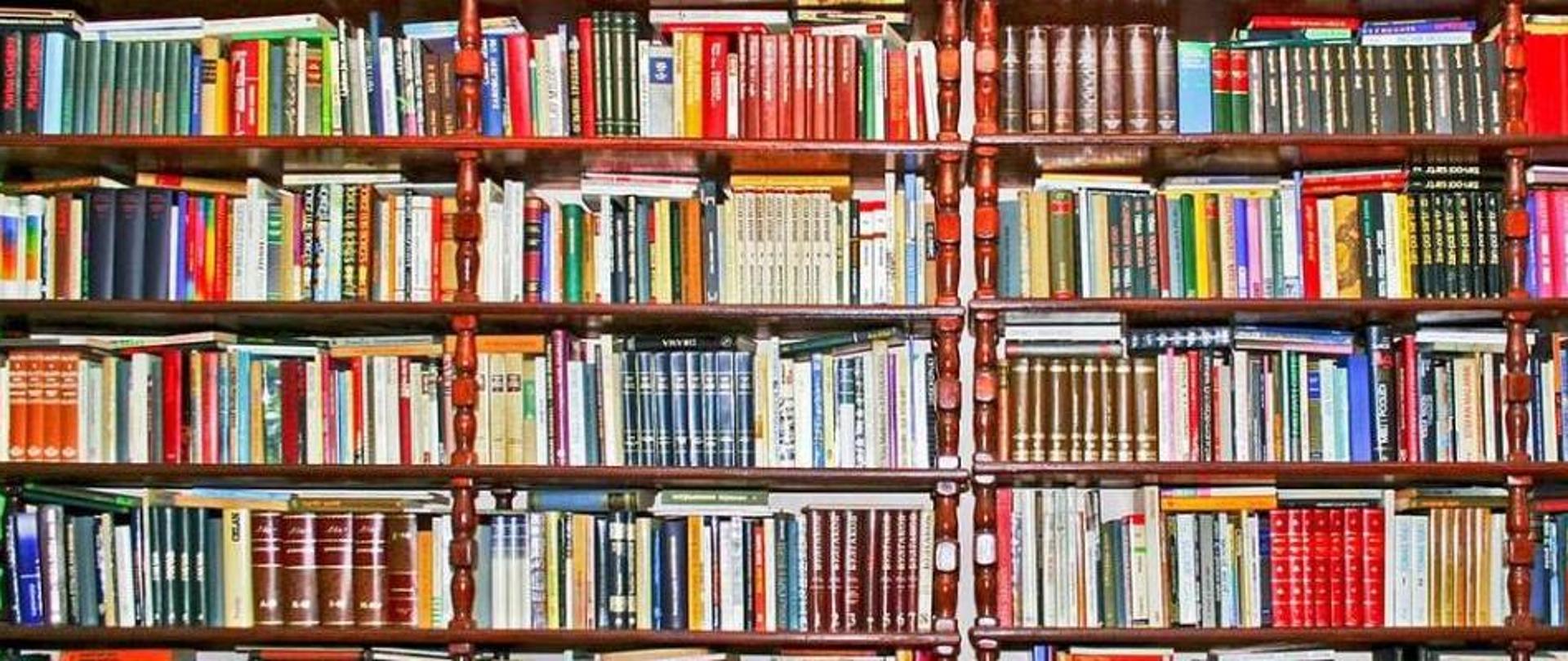 Na zdjęciu widać poukładane książki