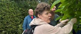 W labiryncie w Białowieży