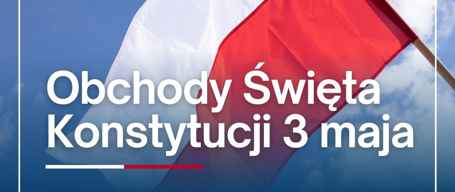 Niebieski Poważny Dzień Flagi Plakat - 1